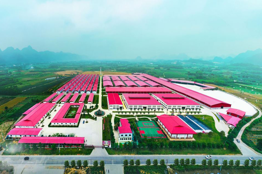 貓千歲工廠航空實拍原景